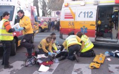 Imagen del atropello