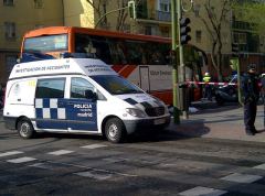 Imagen del atropello