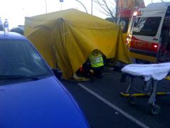 Imagen del atropello