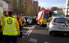 Imagen del atropello