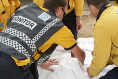 Imagen de formación