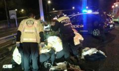 Imagen del atropello