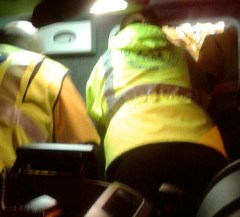 Imagen del atropello